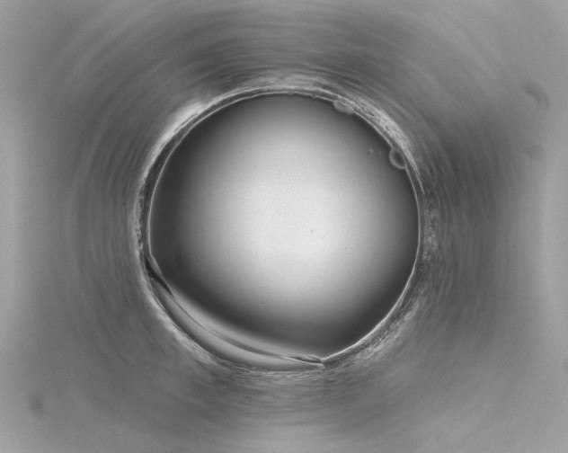 X0000116340997200912011345