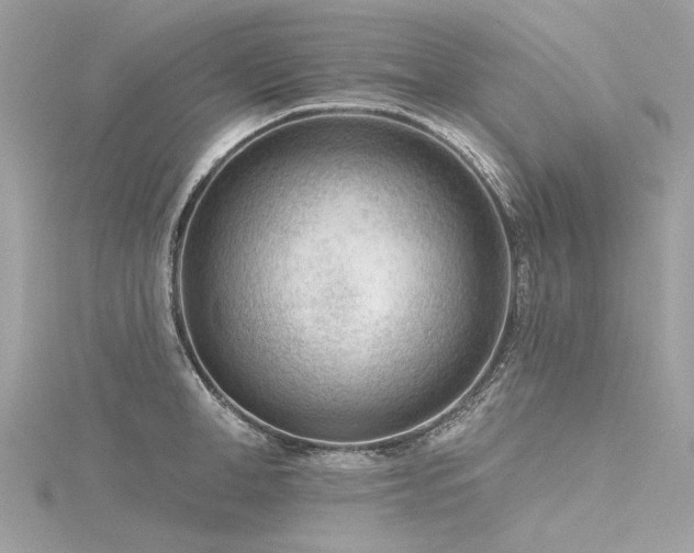 X0000116340998200912011345