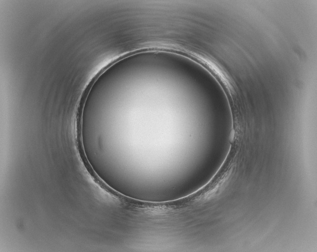 X0000116340999200912011345