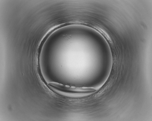 X0000116341000200912011345