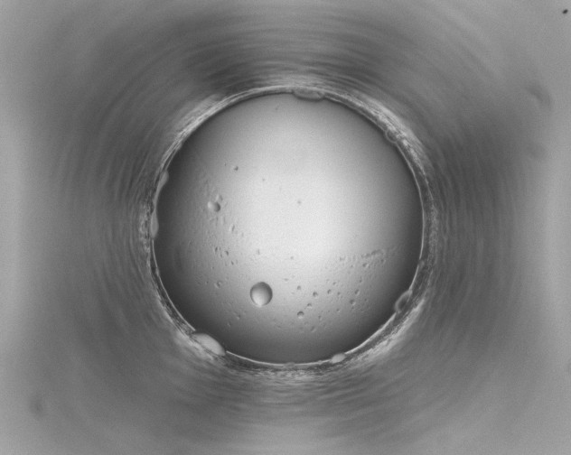 X0000116341001200912011345