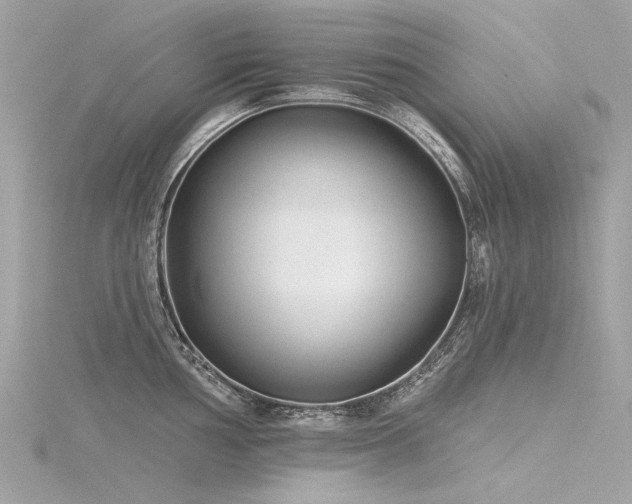 X0000116341002200912011345