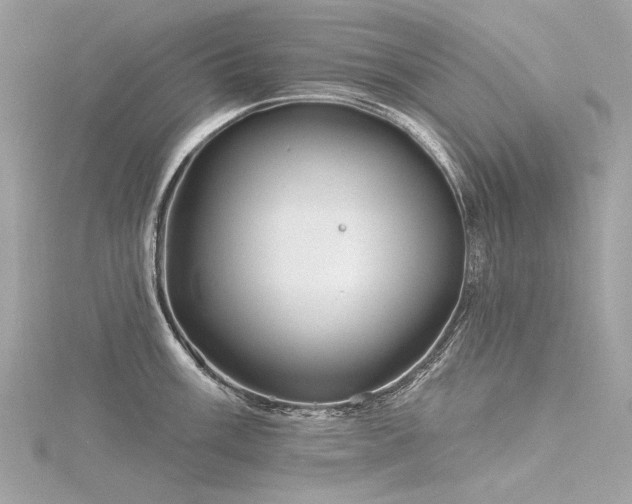 X0000116341003200912011345