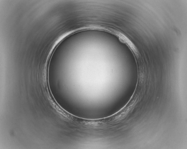 X0000116341004200912011345