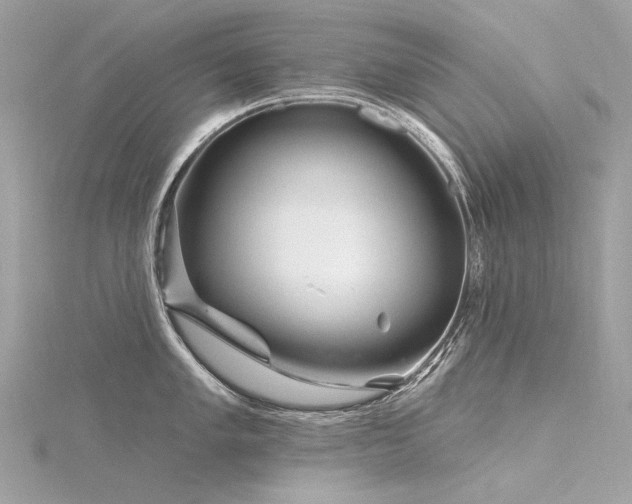 X0000116341005200912011345