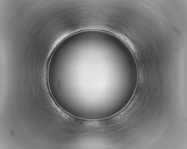 X0000116341006200912011345