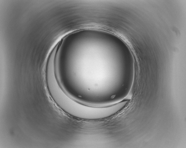 X0000116341008200912011345