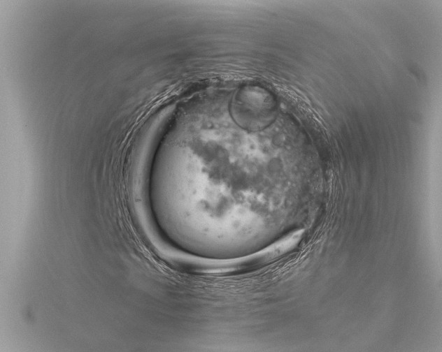 X0000116341009200912011345