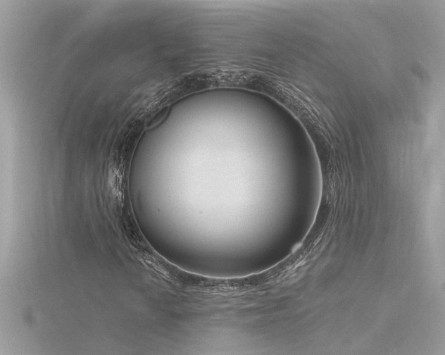 X0000116341010200912011345