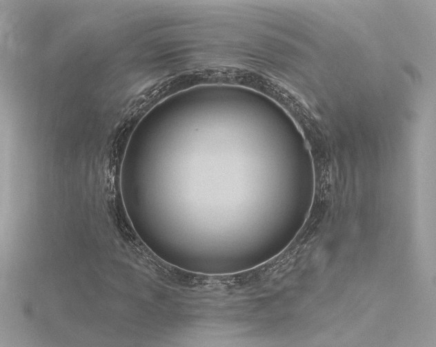 X0000116341013200912011345