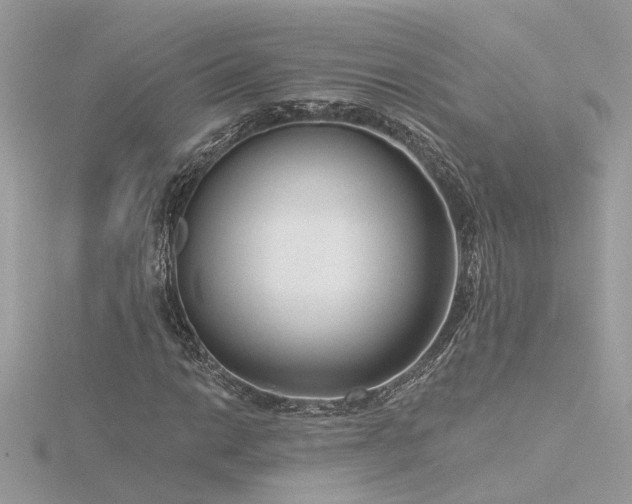 X0000116341014200912011345