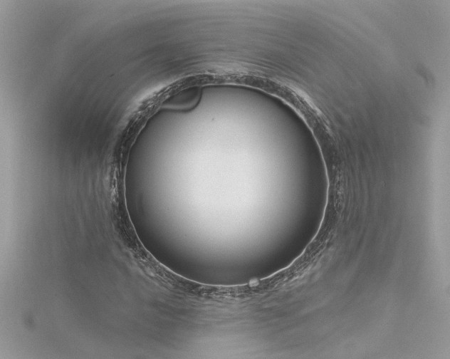 X0000116341016200912011345