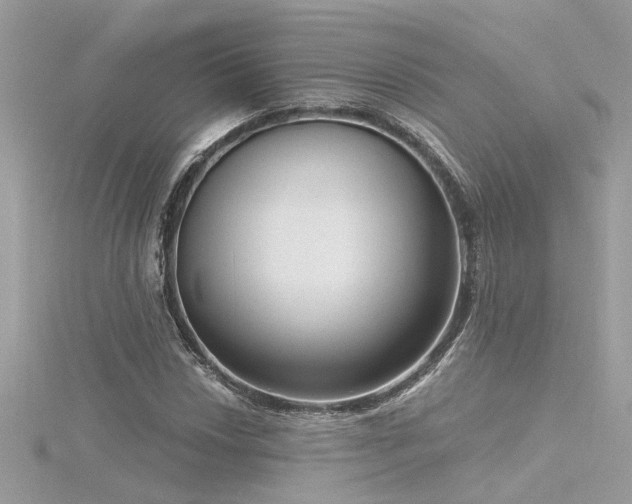 X0000116341018200912011345