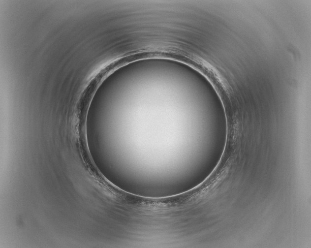 X0000116341019200912011345