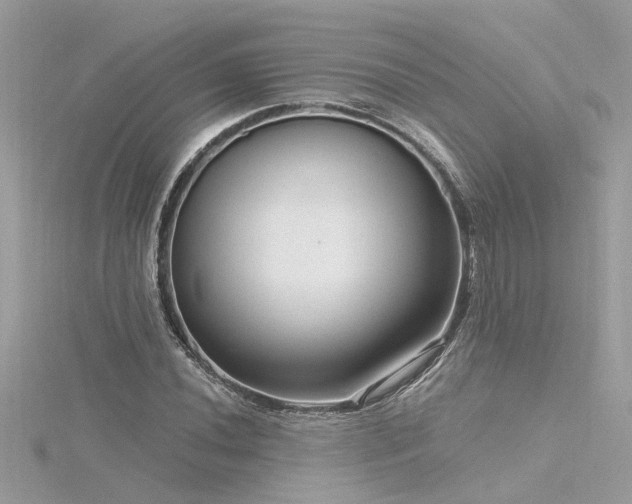 X0000116341020200912011345