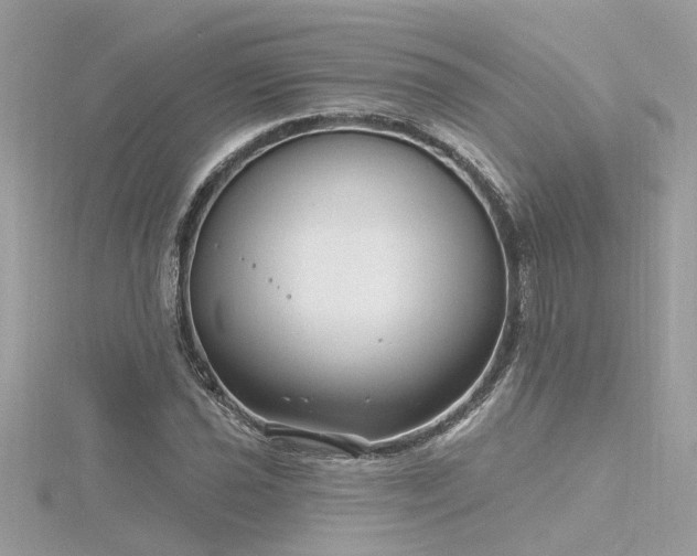 X0000116341021200912011345