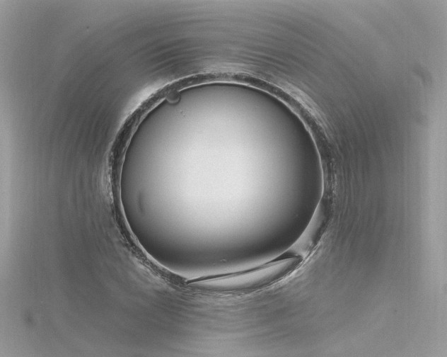 X0000116341022200912011345