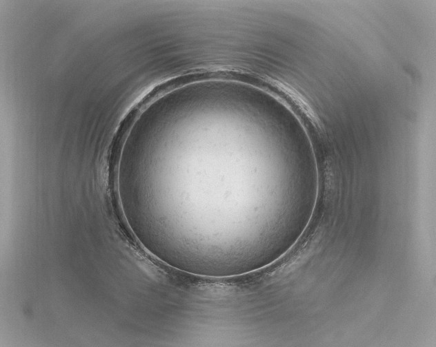 X0000116341023200912011345