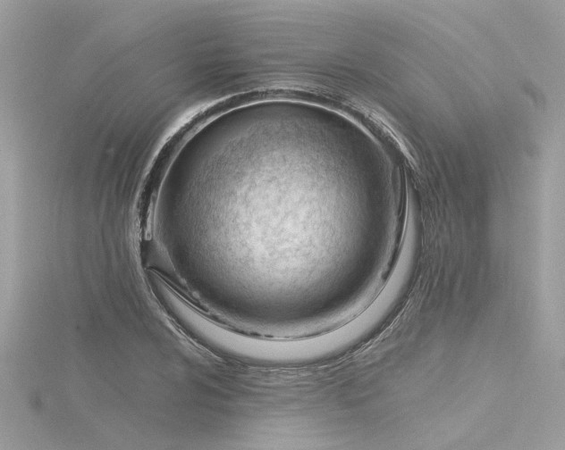 X0000116341024200912011345