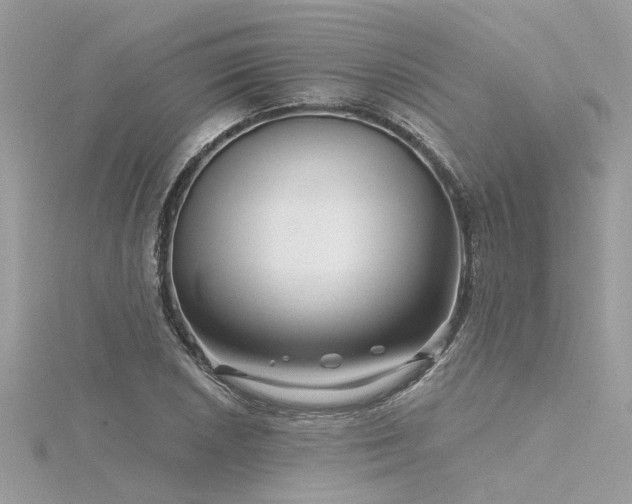 X0000116341026200912011345