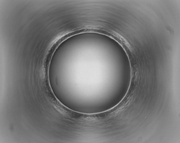 X0000116341027200912011345