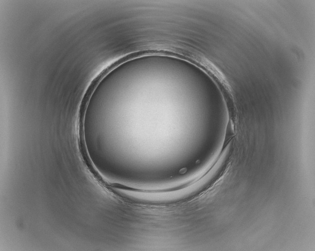 X0000116341028200912011345