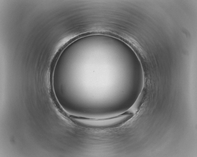 X0000116341030200912011345