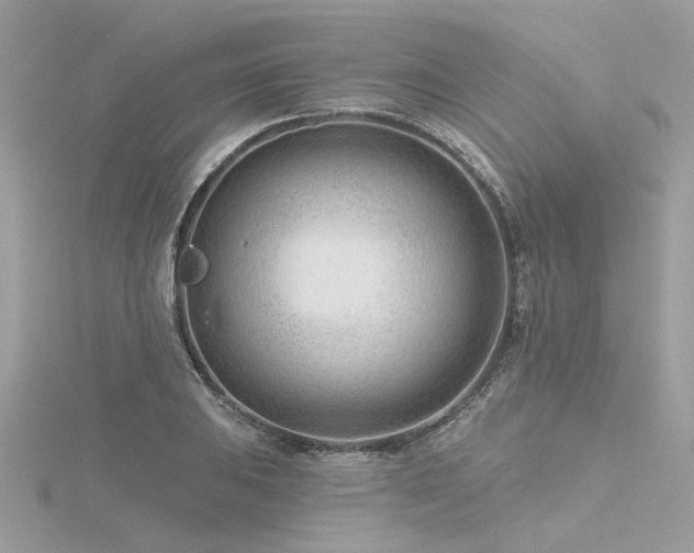 X0000116341031200912011345