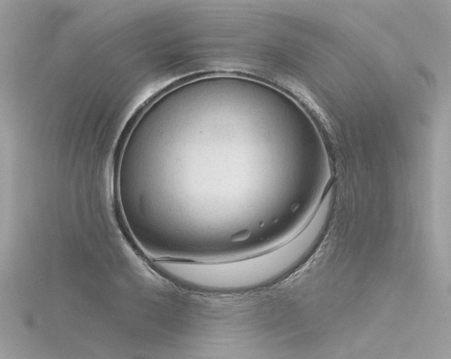 X0000116341032200912011345