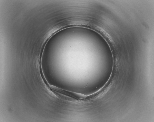 X0000116341033200912011345