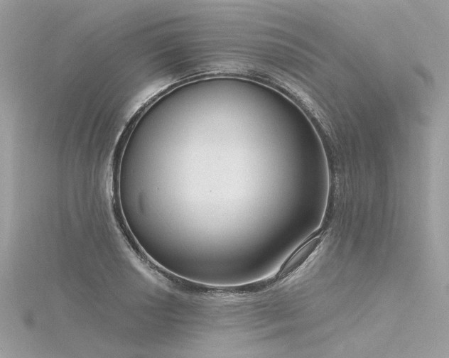 X0000116341034200912011345