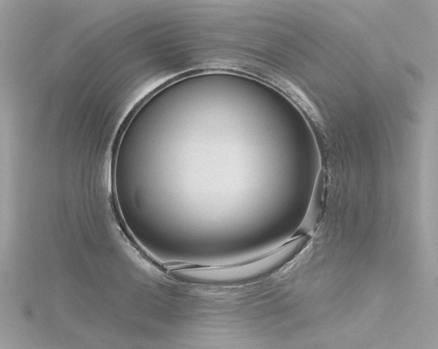 X0000116341036200912011345