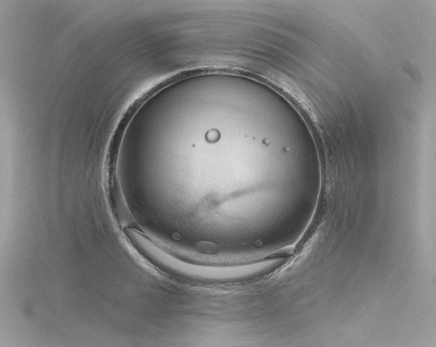 X0000116341037200912011345