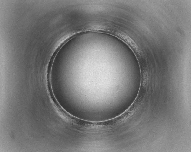 X0000116341039200912011345