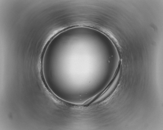 X0000116341040200912011345