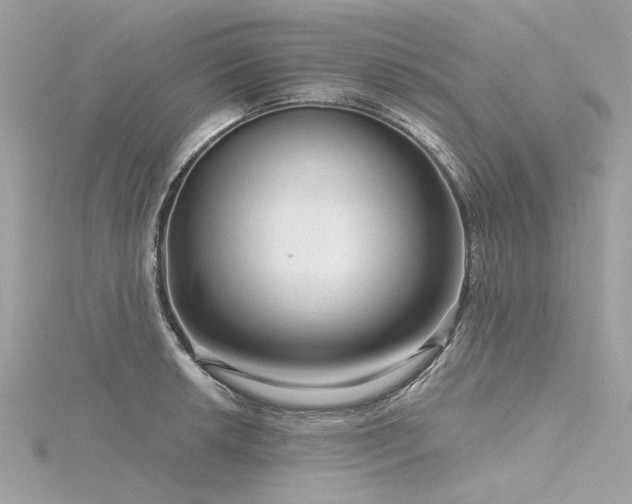 X0000116341042200912011345