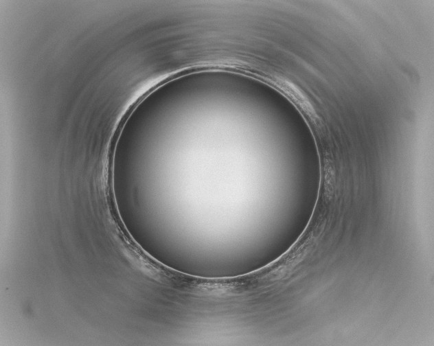 X0000116341044200912011345