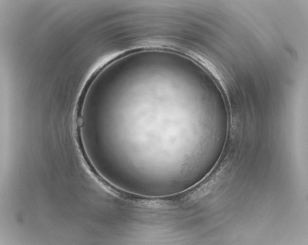 X0000116341045200912011345