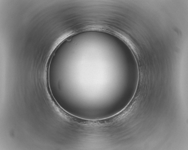 X0000116341050200912011345