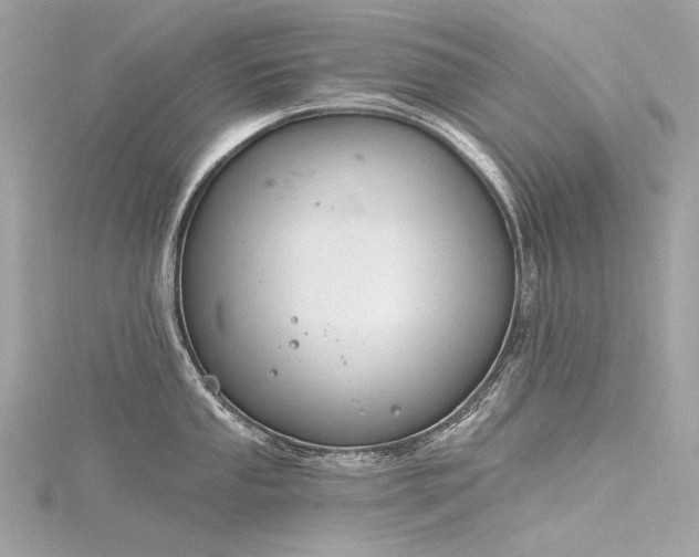 X0000116341053200912011345