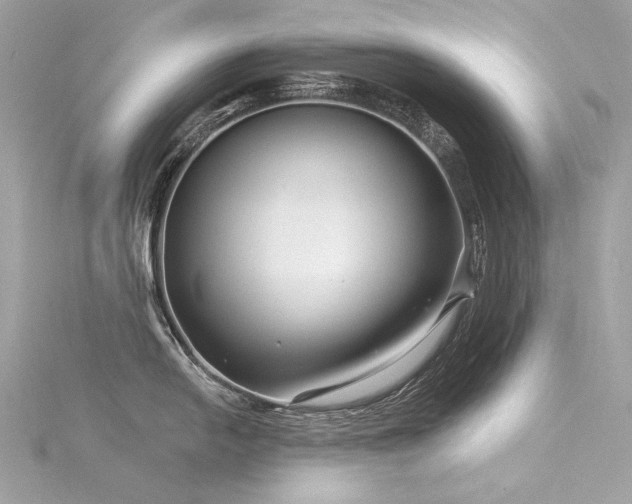 X0000116341054200912011345