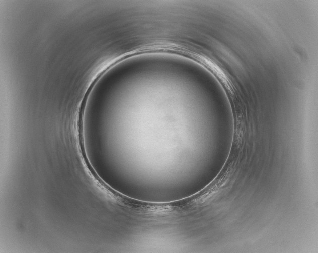 X0000116341055200912011345