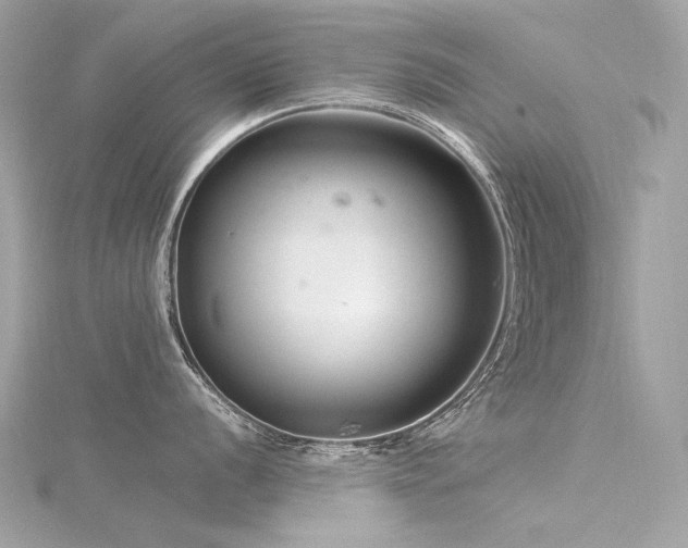 X0000116341056200912011345