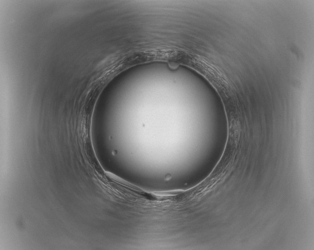 X0000116341058200912011344