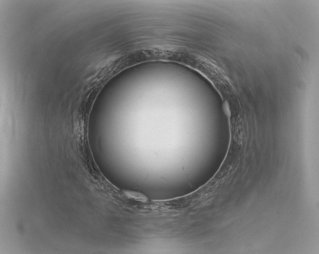 X0000116341061200912011344