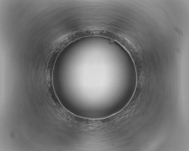 X0000116341062200912011344