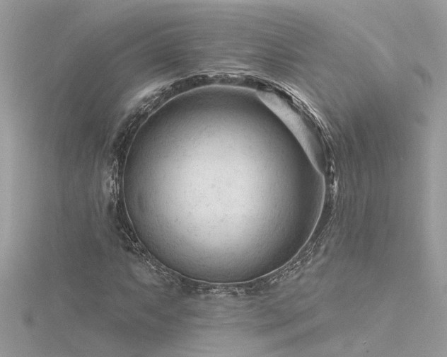 X0000116341063200912011344