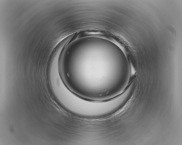 X0000116341065200912011344