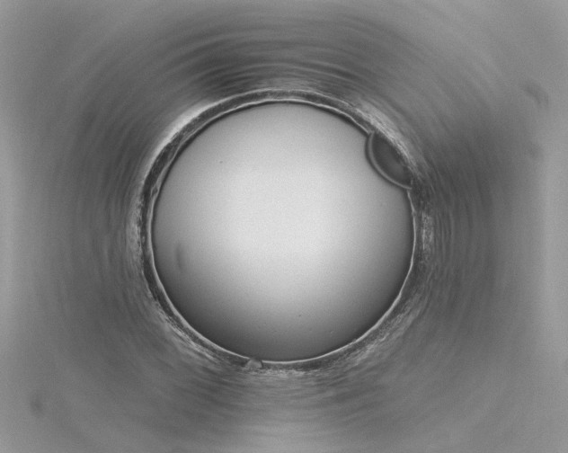 X0000116341068200912011344