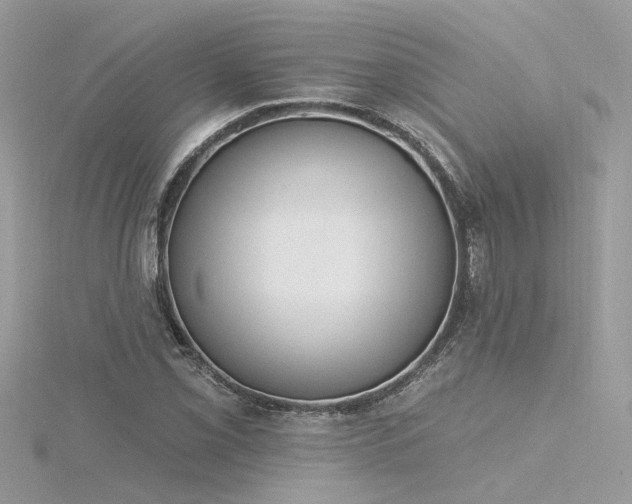 X0000116341069200912011344